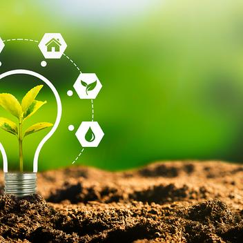 sprout coming out of dirt with sustainability icons surrounding it
