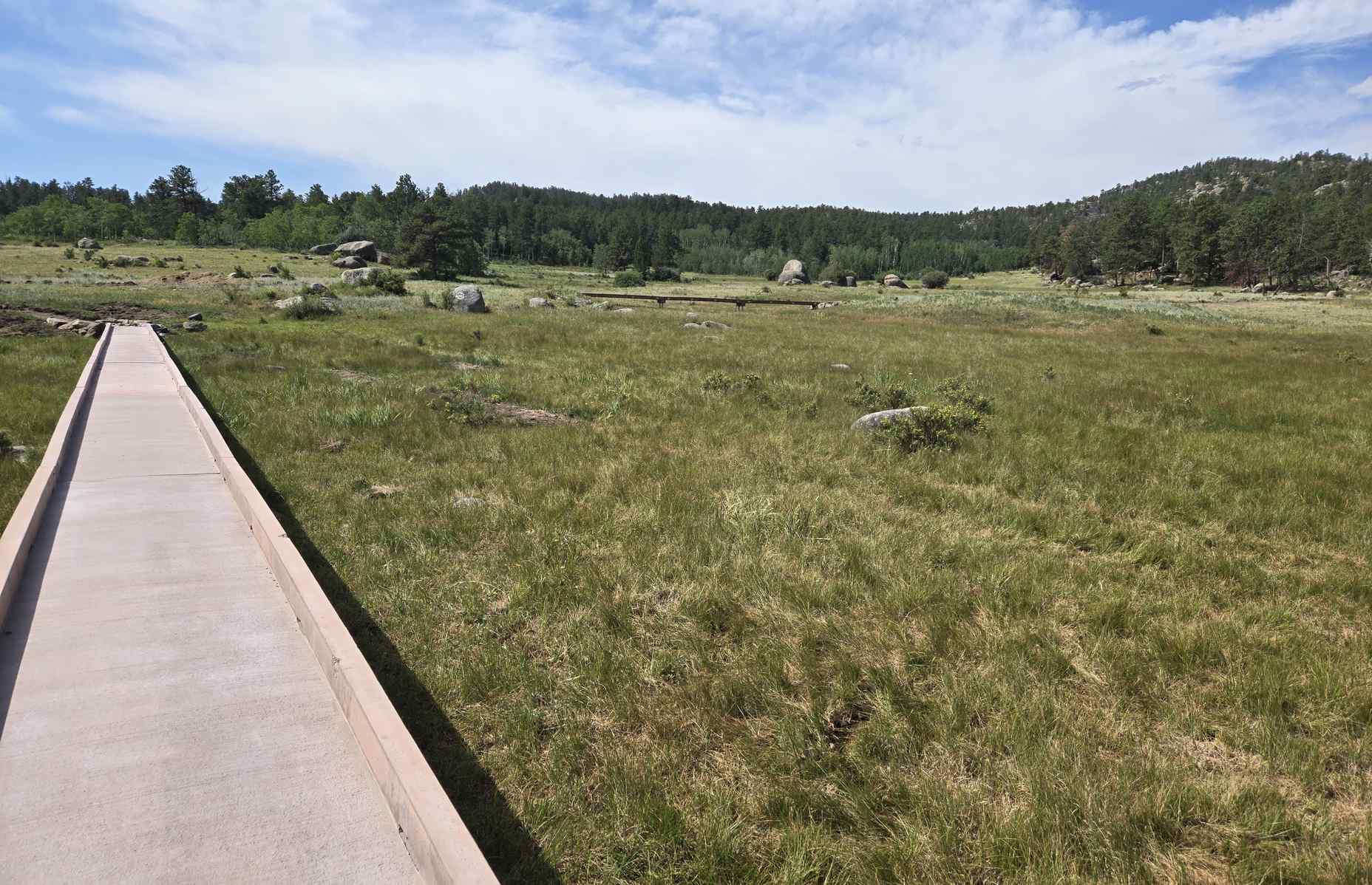 closer look of lady moon boardwalk