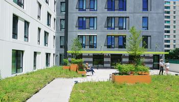 green roof deck on stephens commons