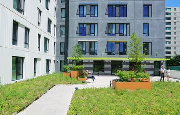 green roof deck on stephens commons
