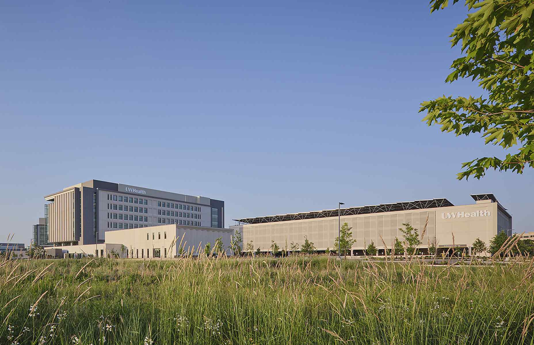 full back view uw health wide angle